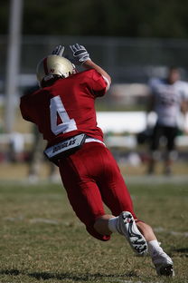华体会全站-NBA球队防守战术演变分析，nba球队防守效率排行榜